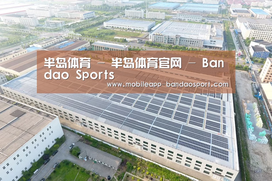 案例展示一