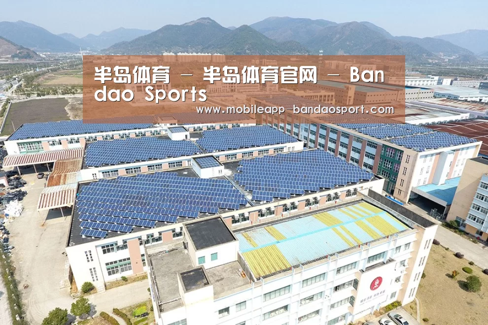 案例展示四