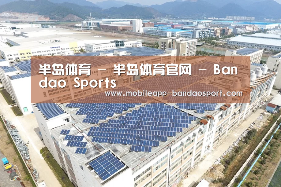 案例展示三