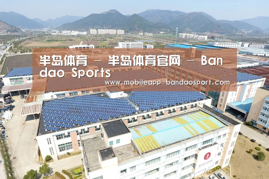 案例展示三