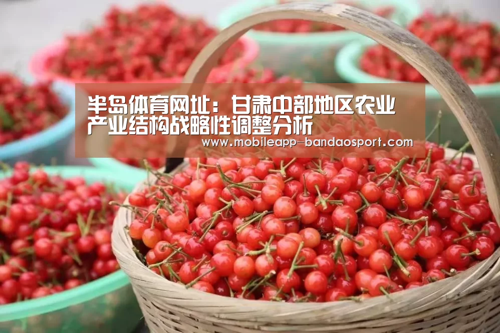半岛体育网址:甘肃中部地区农业产业结构战