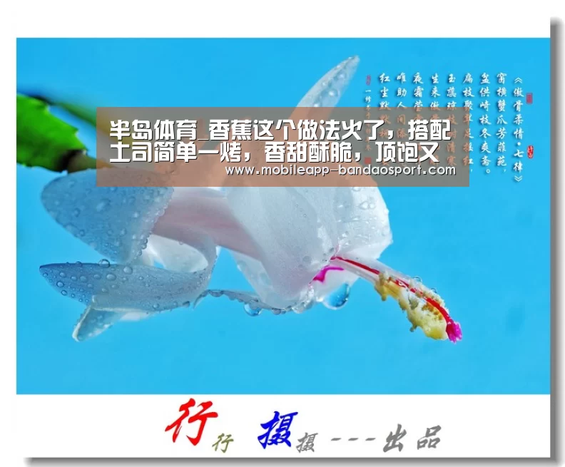 半岛体育_香蕉这个做法火了,搭配土司简单一烤,香甜酥脆,顶饱又好吃(图1) 半岛体育_香蕉这个做法火了,搭配土司简单一烤,香甜酥脆,顶饱又好吃(图1)