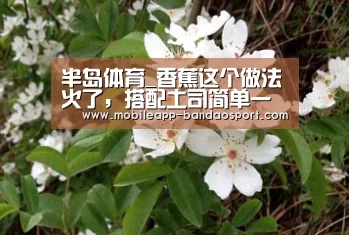 半岛体育_香蕉这个做法火了,搭配土司简单一烤,香甜酥脆,顶饱又好吃(图4) 半岛体育