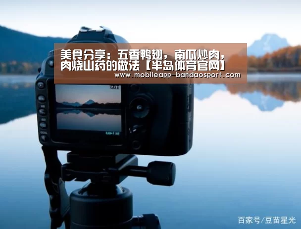 美食分享：五香鸭翅，南瓜炒肉，肉烧山药的做法【半岛体育官网】(图2)