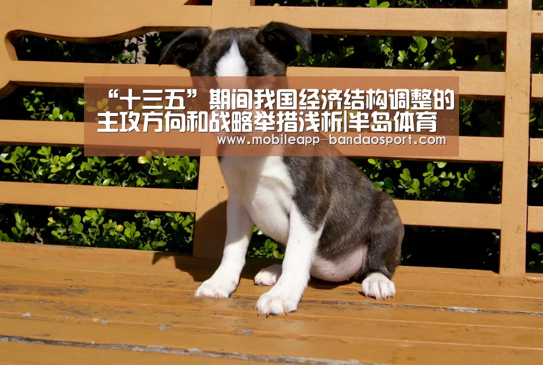 “十三五”期间我国经济结构调整的主攻方向和战略举措浅析|半岛体育下载(图1)