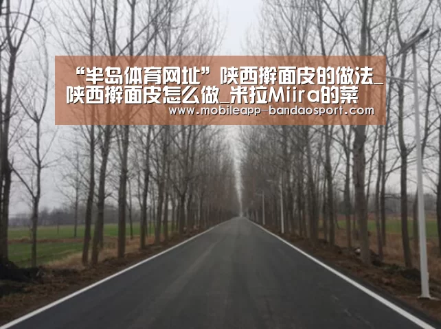 半岛体育网址