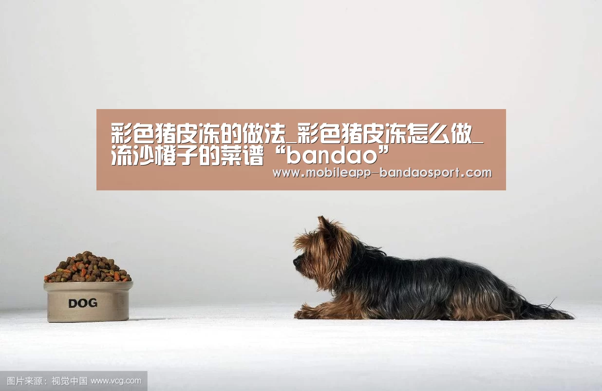 半岛体育网址