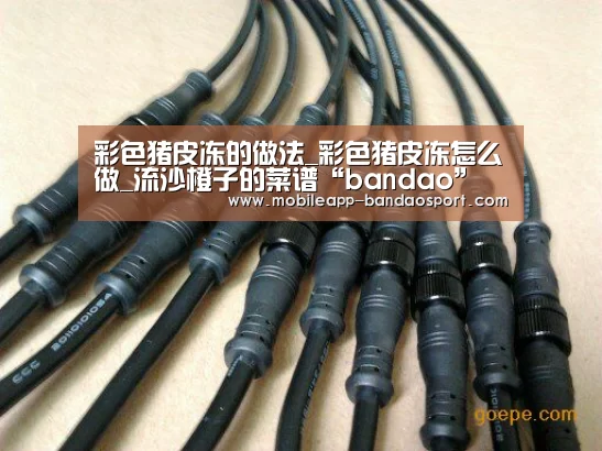 半岛体育网址