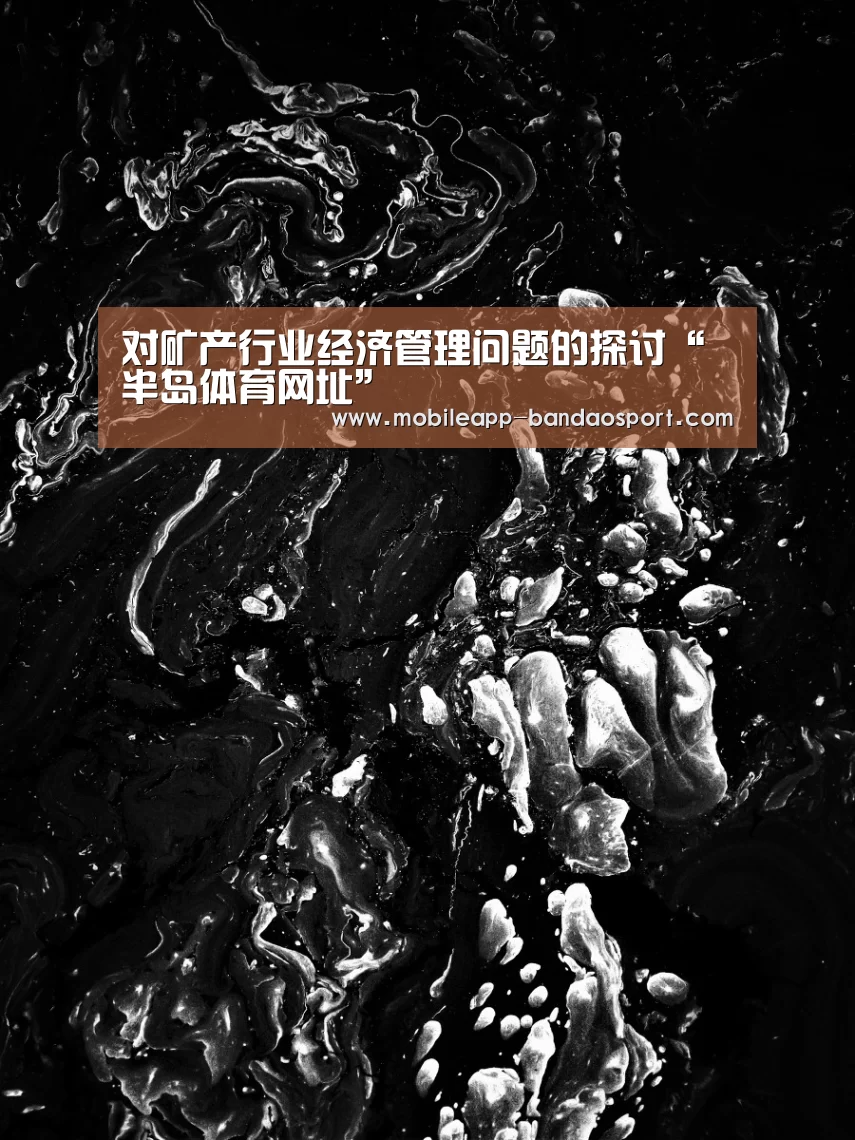 对矿产行业经济管理问题的探讨“半岛体育网址”(图2) 半岛体育下载