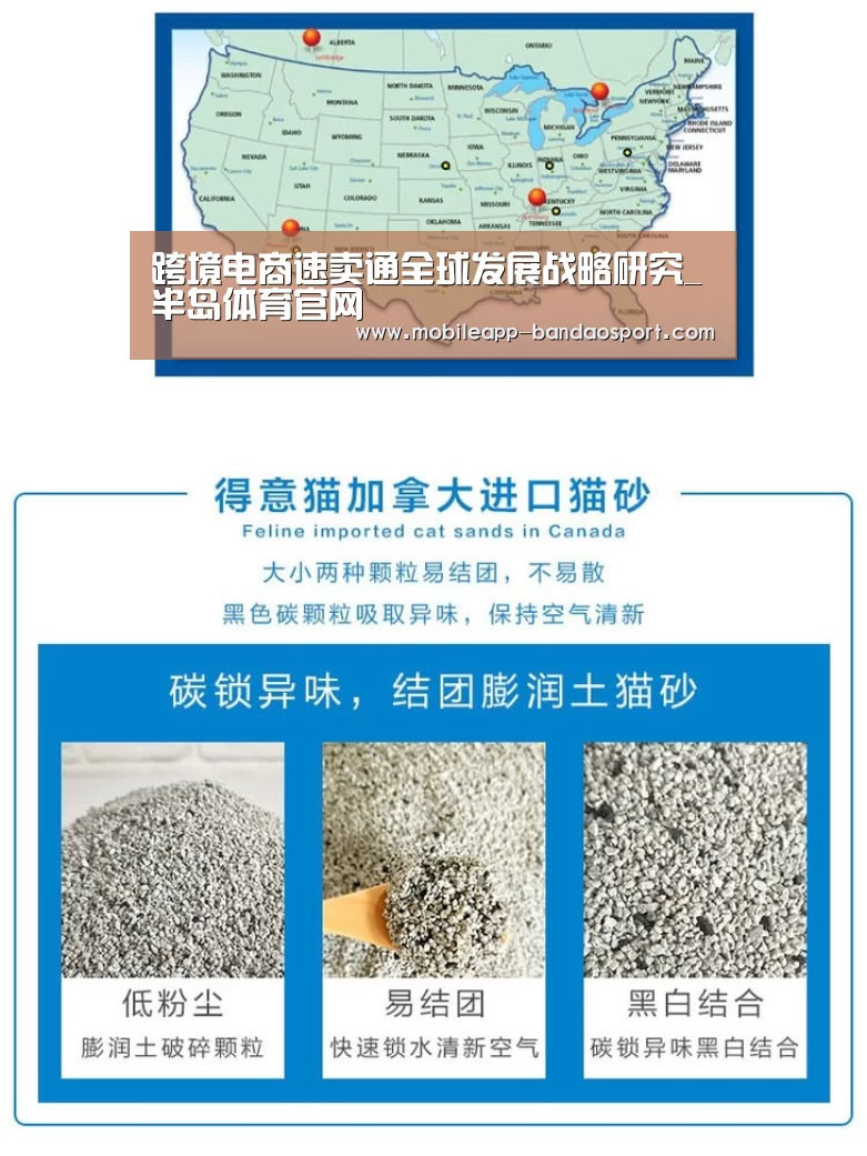 跨境电商速卖通全球发展战略研究_半岛体育