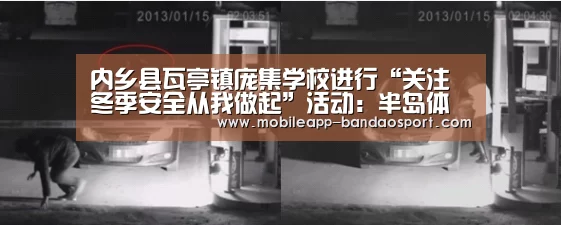 内乡县瓦亭镇庞集学校进行“关注冬季安全从我做起”活动:半岛体育(图2) 半岛体育